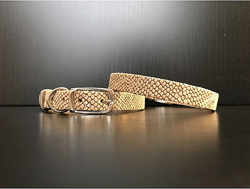Beige Snake Skin with Holographic Details - Leather Dog Collar - Size S